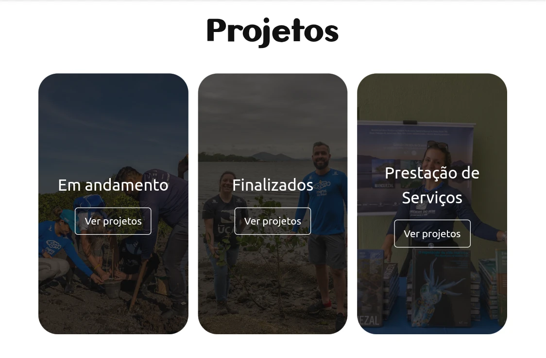 Área de projetos no site da Guardiões do Mar